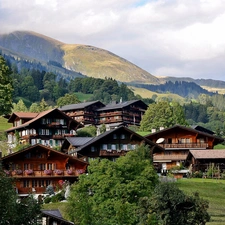 village, Grindelwald, woods, medows, Alps