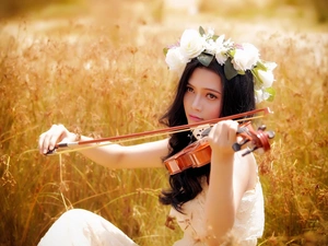 girl, Meadow, grass, violin