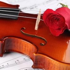 red hot, Tunes, violin, rose