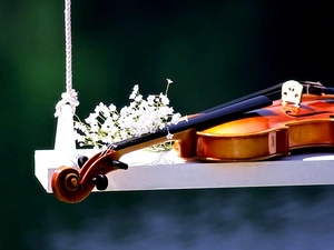 violin, Swing