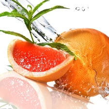 water, grapefruit, leaves