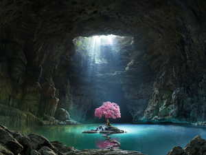 water, cave, ligh, sun, trees, graphics, luminosity, flourishing, flash