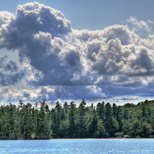 puffs, forest, water, clouds