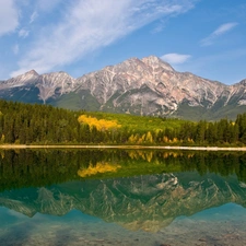 trees, Mountains, water, viewes