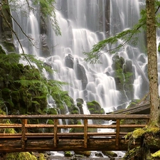 waterfall, forest, bridges