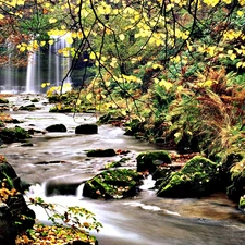 waterfall, forest, brook