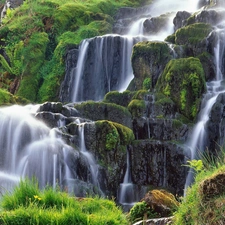 waterfall, Plants, Bush