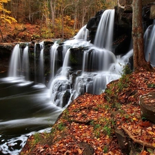 waterfall, autumn, forest