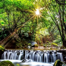 rays of the Sun, forest, waterfall