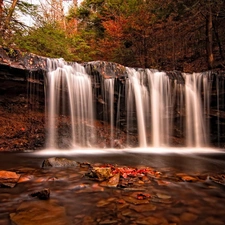 trees, Stones, waterfall, viewes