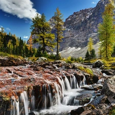 waterfall, Mountains, woods