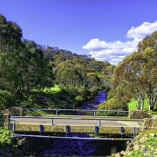 trees, brook, Way, cars, viewes, bridge