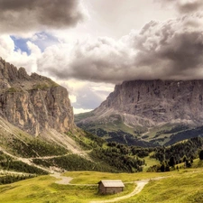 woods, Mountains, Way, cote, clouds, Rocky