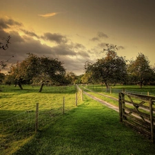 viewes, orchard, Way, fence, fruit, trees