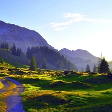 Mountains, Meadow, Way, woods