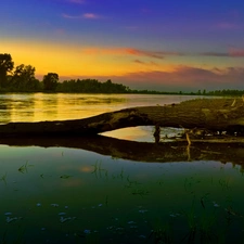 sun, lake, trees, viewes, Lod on the beach, west