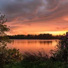 viewes, River, west, sun, Bush, trees