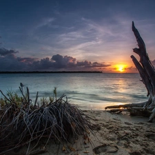 Sand, Coast, west, sun, clouds, Bush