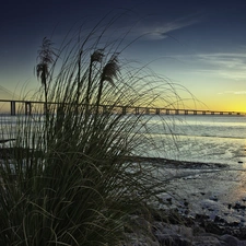 grass, River, west, sun, Stones, bridge