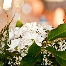 flowers, small bunch, white
