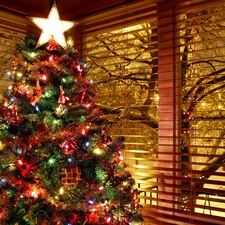 Window, winter, christmas tree, christmas, Coloured
