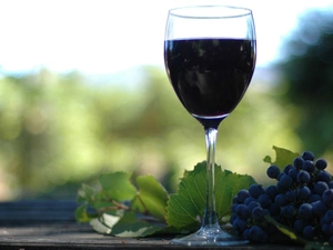 spray, wine glass, Wines, grapes