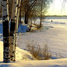 winter, River, birch
