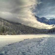 winter, Mountains, forest