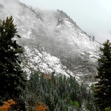 Mountains, woods, winter, Fog