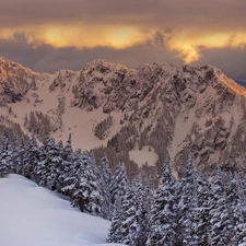 Mountains, winter