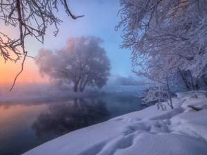 winter, Khimki City, trees, Russia, Istra River, Fog, viewes