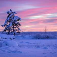 winter, Värmland Region, Snowy, Municipality of Arvika, Sweden, Sunrise, trees