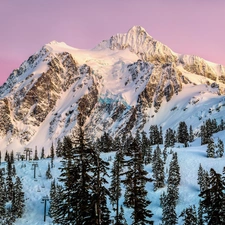 winter, Mountains, Spruces