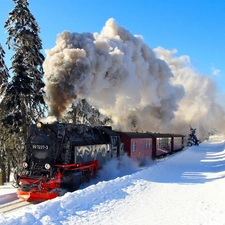 Train, viewes, winter, trees