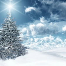 christmas tree, snow, winter, clouds