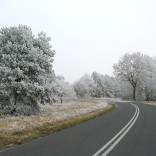 Way, viewes, winter, trees