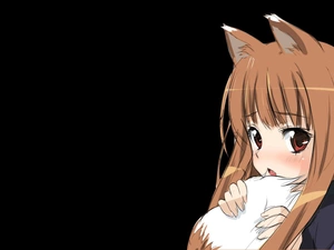 form, Spice and Wolf