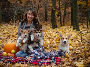 Women, Dogs, pumpkin, Welsh corgi pembroke, Three, coverlet, Leaf