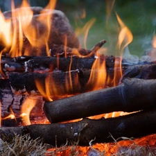 Wood, fire, burning
