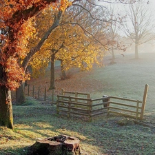 Fog, trees, fence, viewes, autumn, wood, trunk