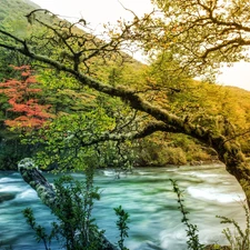 autumn, Mountains, woods, River