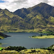 woods, medows, lake, Wanaka, Mountains