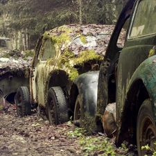 forest, cars, wrecks, old