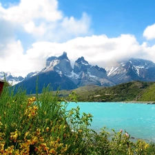 Yellow, Flowers, blue, lake, Mountains