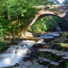 bridge, River, Yorkshire, England, green, Cascades