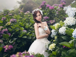Flowers, hydrangeas, Asian, young lady, Women